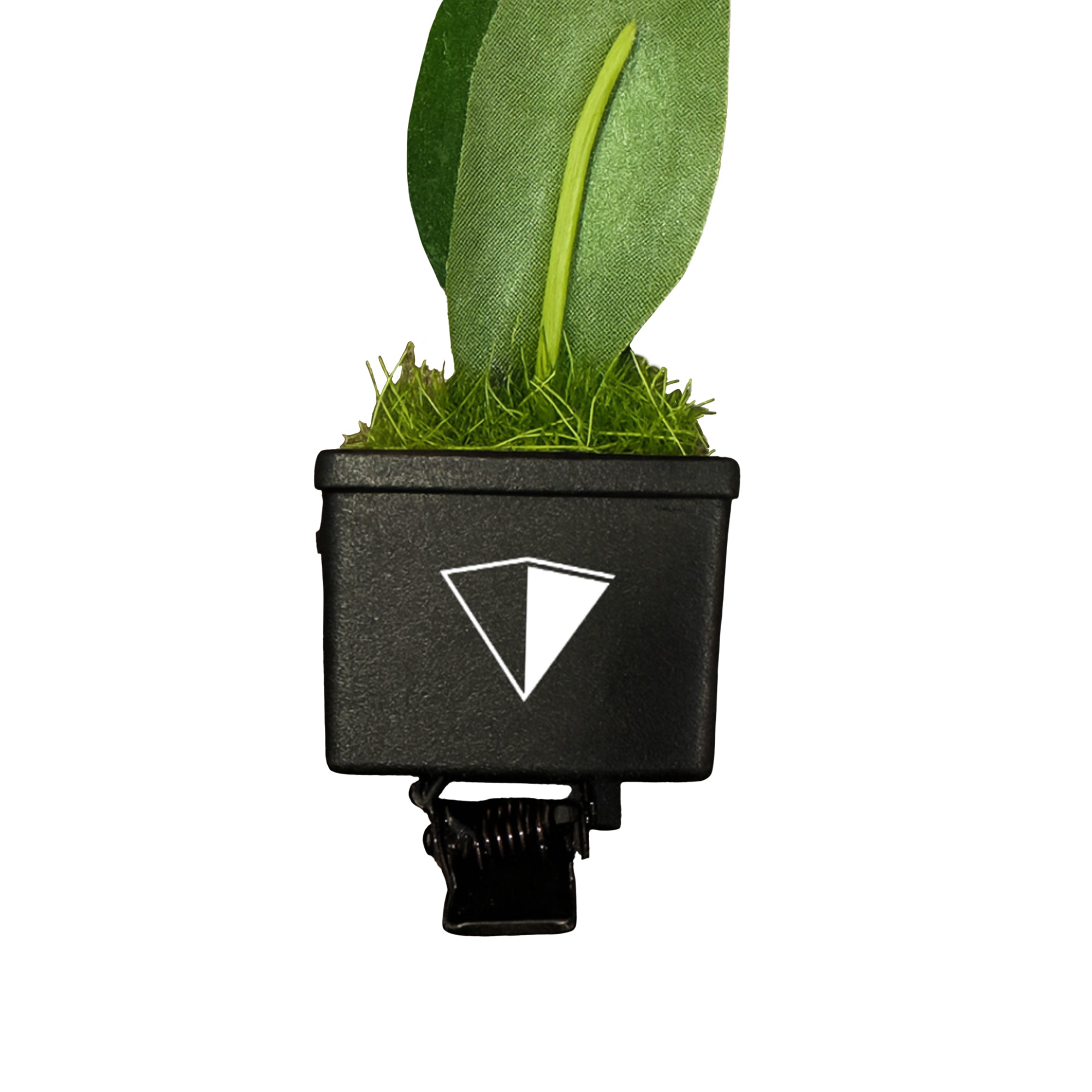 Sprout-pack-5.jpg?v=1763064009